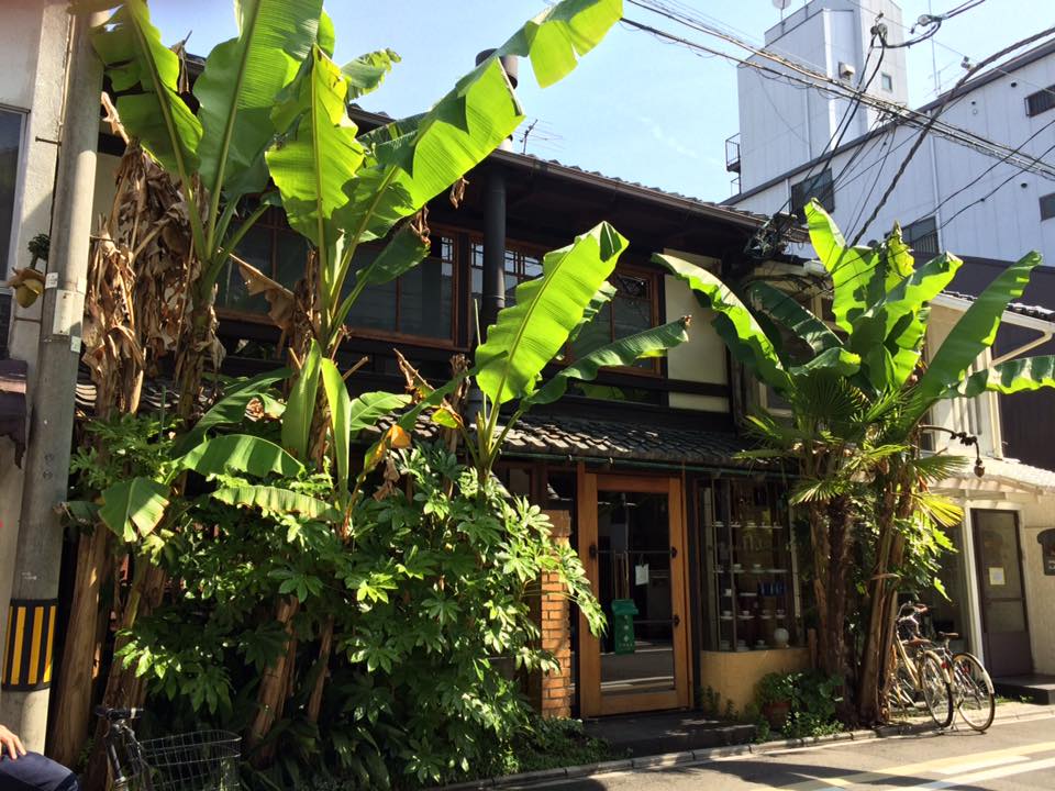 Le charme de Kyoto au fil des saisons