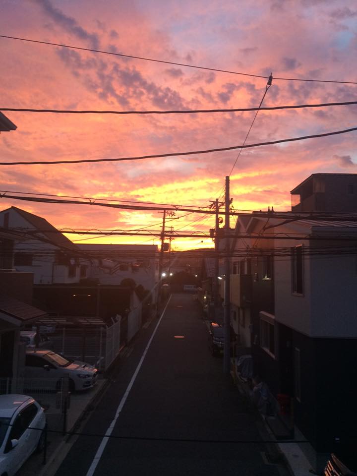 Le charme de Kyoto au fil des saisons