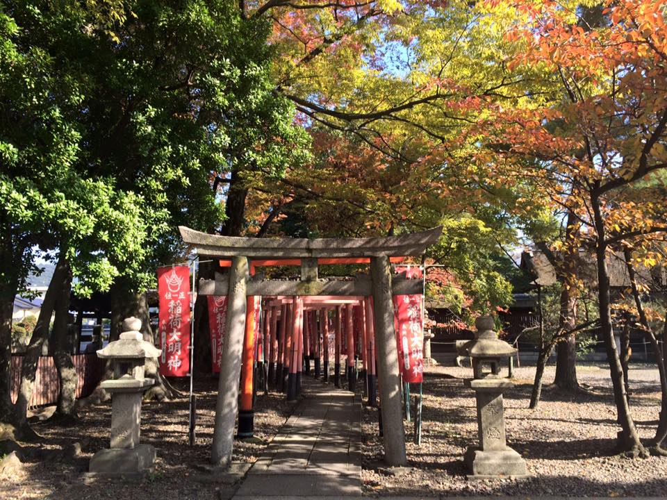 Le charme de Kyoto au fil des saisons