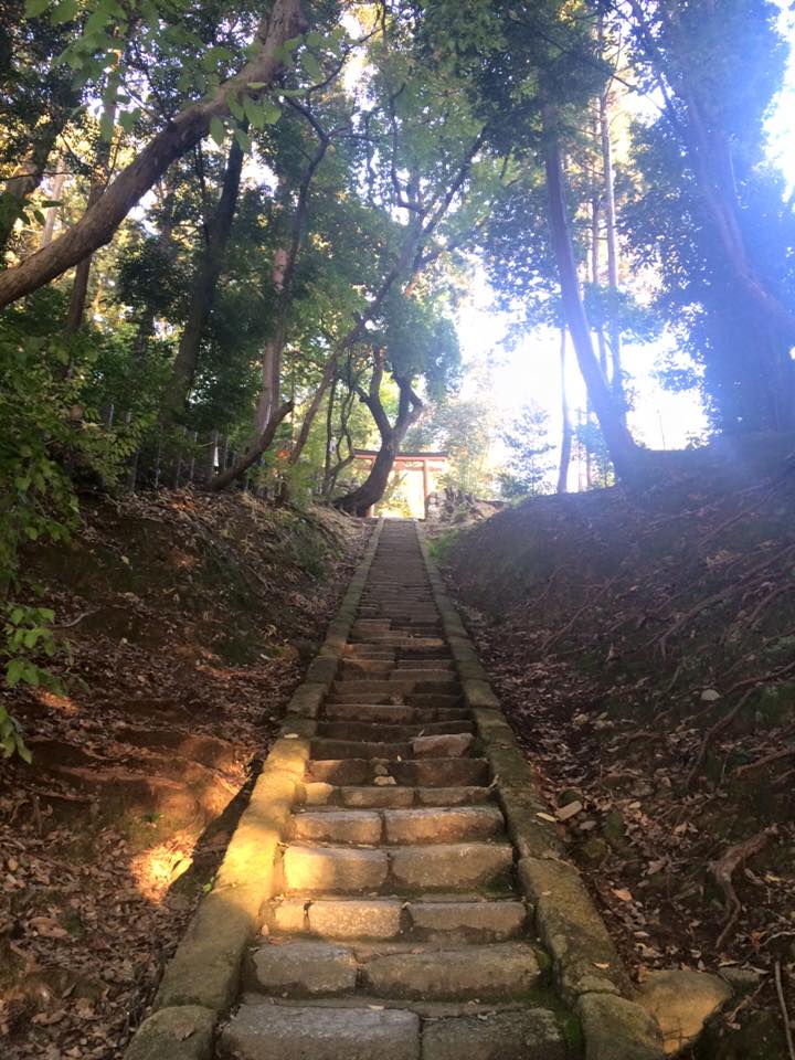 Le charme de Kyoto au fil des saisons