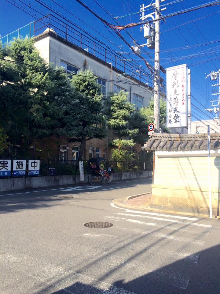 Le charme de Kyoto au fil des saisons