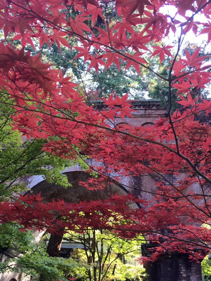 Le charme de Kyoto au fil des saisons