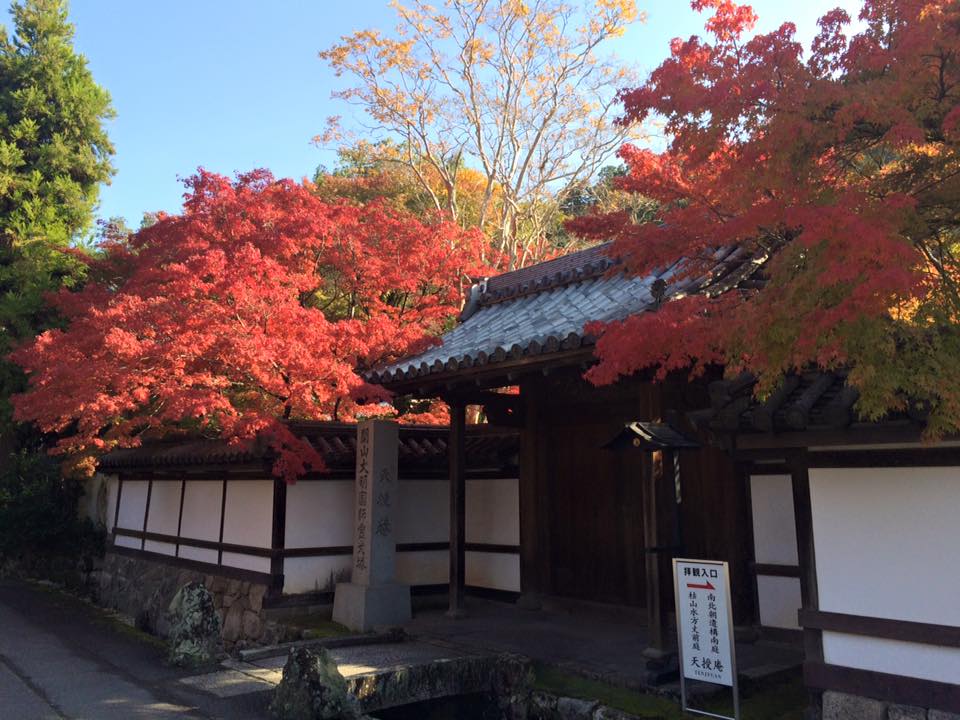 Le charme de Kyoto au fil des saisons