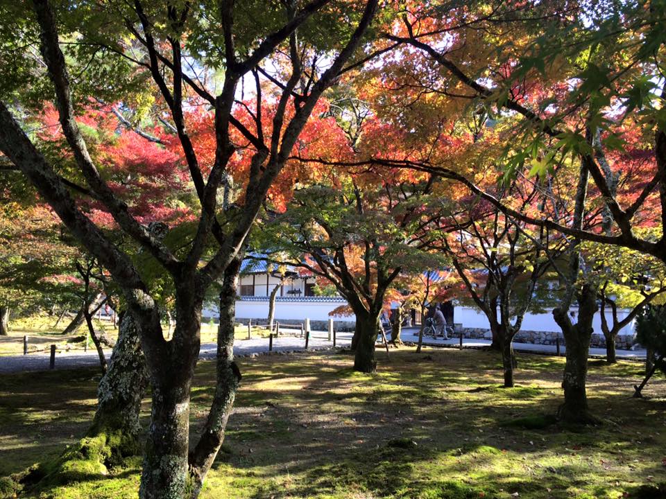 Le charme de Kyoto au fil des saisons