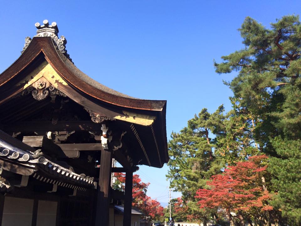 Le charme de Kyoto au fil des saisons