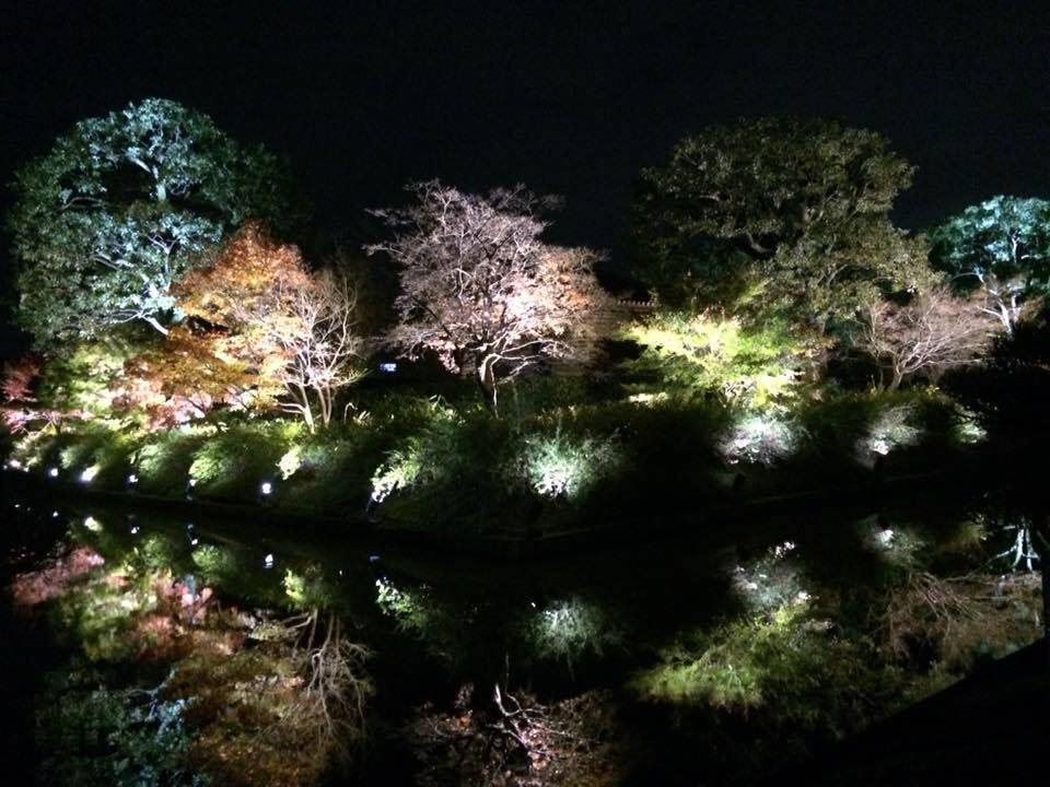 Le charme de Kyoto au fil des saisons