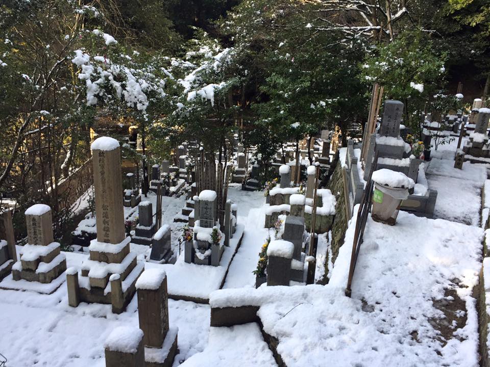 Le charme de Kyoto au fil des saisons