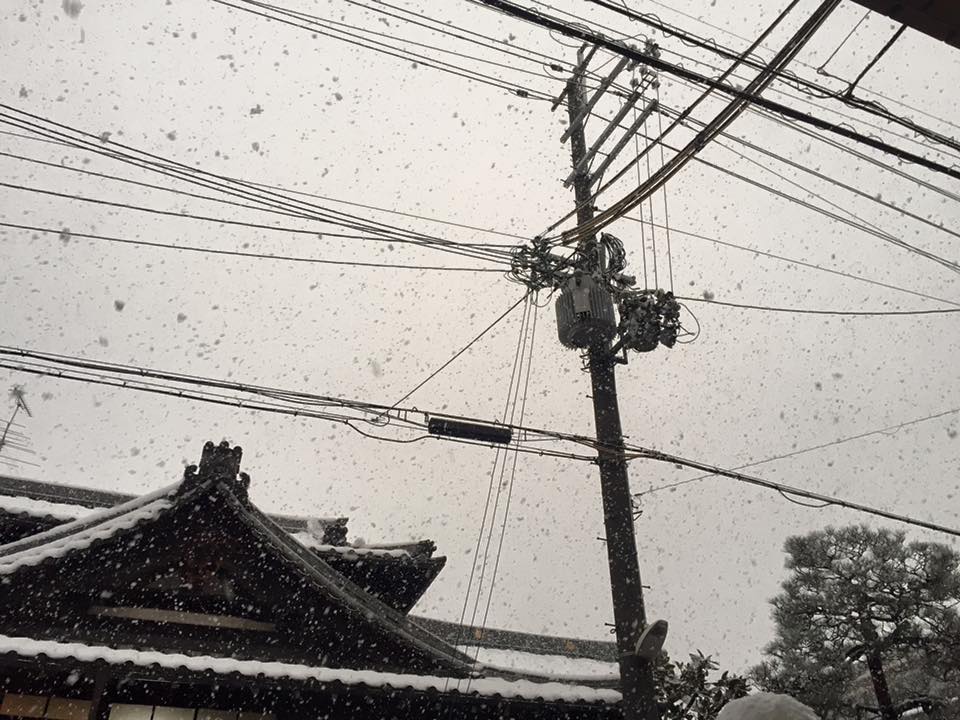 Le charme de Kyoto au fil des saisons