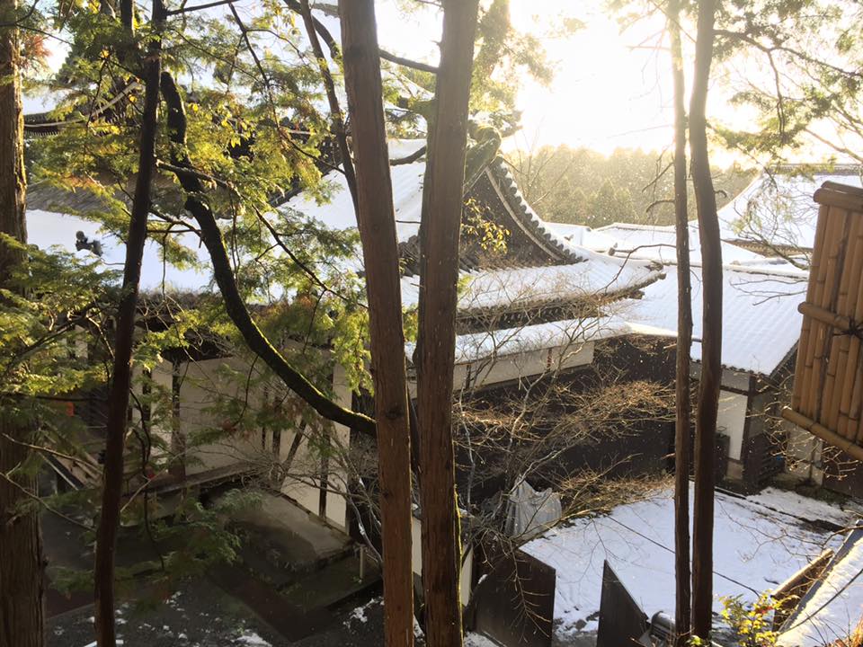 Le charme de Kyoto au fil des saisons