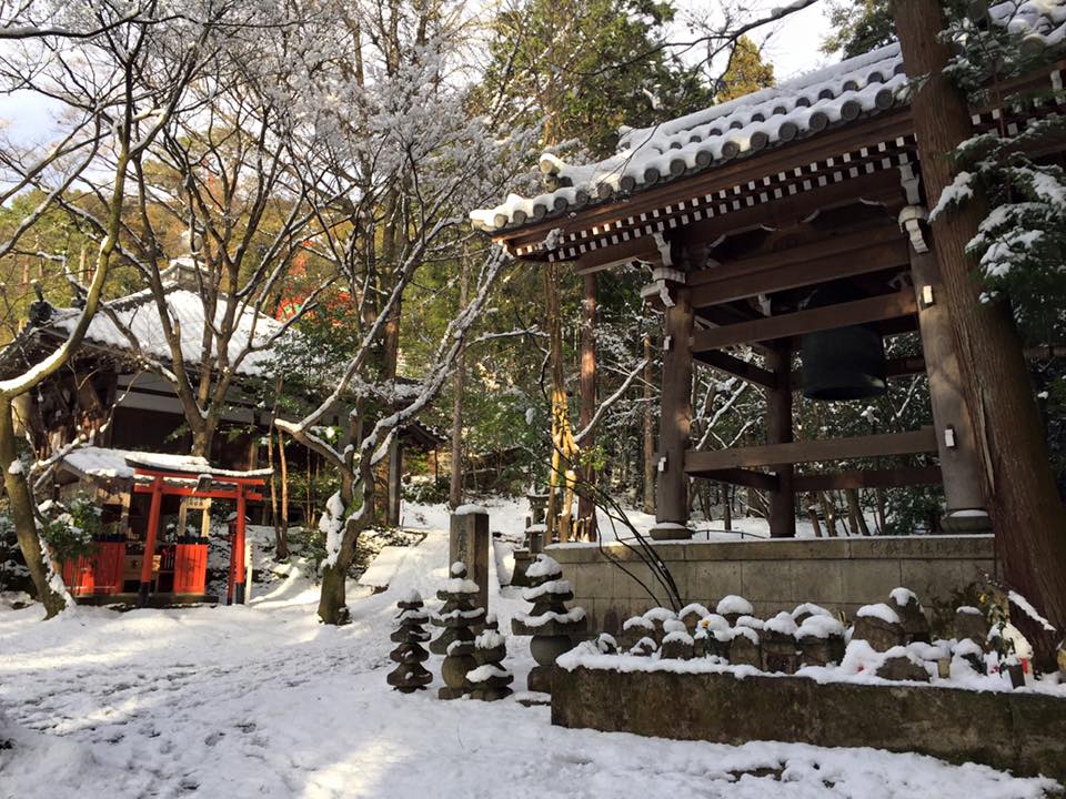 Le charme de Kyoto au fil des saisons