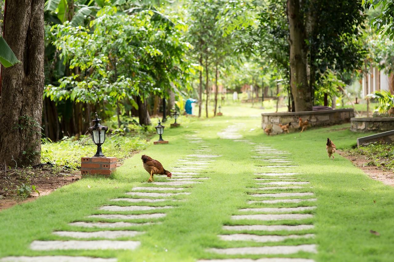 Séjour farniente à Phú Quốc